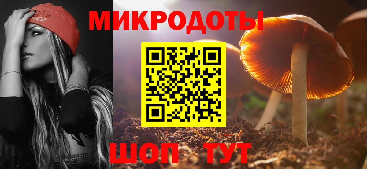Псилоцибиновые грибы Cubensis Рассказово